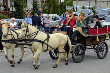 5. inscenizacja praw miejskich