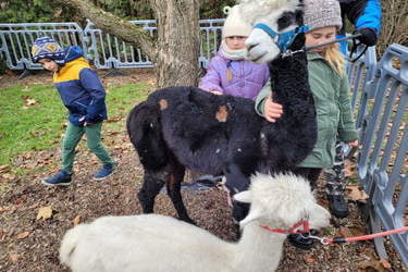 WhatsApp Image 2022-12-13 at 11.35.54