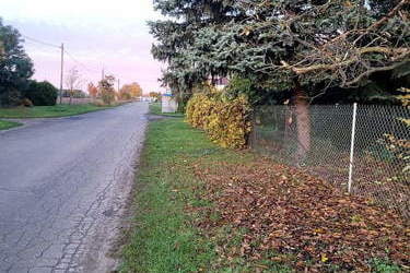 IMG-20231128-WA0023