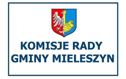 Zdjęcie do Posiedzenie Komisji Rewizyjnej Rady Gminy Mieleszyn